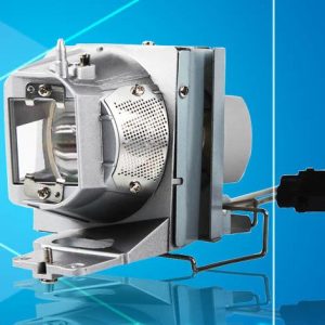 BL-FP210B BL-FP210A / SP.70201GC01 Replacement Projector Lamp with Housing